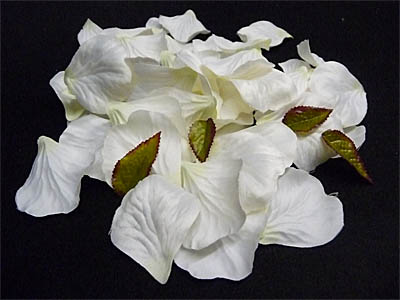 B1504ROSEPETALS.jpg